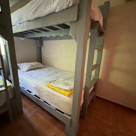 Casa Pecari Apartment Cancun Bagian luar foto
